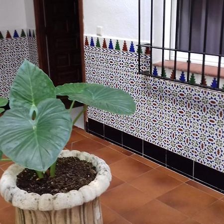 Ferienwohnung Patio Pompeyos Córdoba Exterior foto